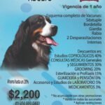 membresía perro adulto