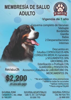 membresía perro adulto