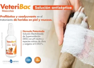 VeteriBac_flier