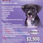 membresía cachorro