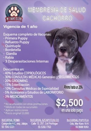 membresía cachorro