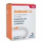 AMBROXIN 300