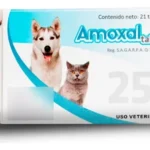 AMOXAL 250 MG