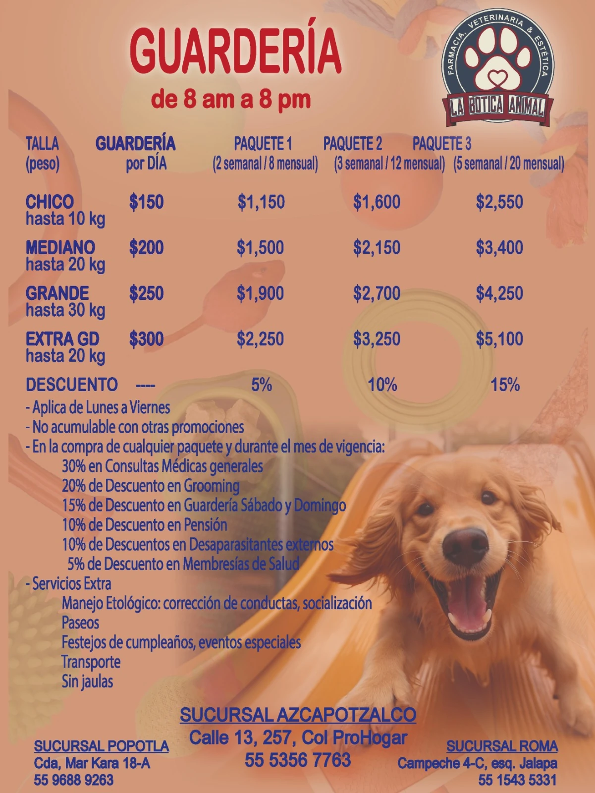 Paquetes de Guarderia y Pensión Perro - Imagen 2