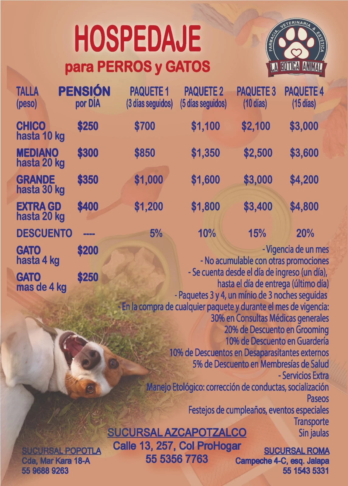 Paquetes de Guarderia y Pensión Perro - Imagen 3