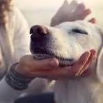 Aparato respiratorio