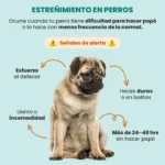 Estrenimiento_en_perros.1_f90e55d8-60da-4226-91a4-71833f038cf0